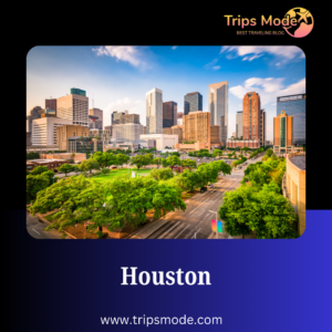 houston astros