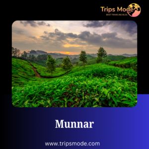 Munnar photos