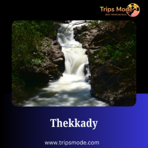 Thekkady photos