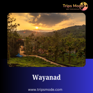 Wayanad photos