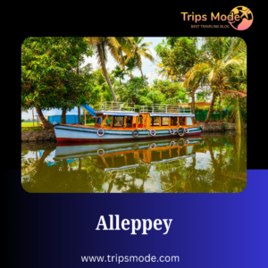 alleppey photos