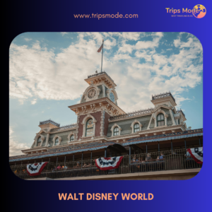 Walt Disney World Photos