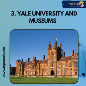 yale university logo