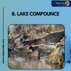 lake compounce photos