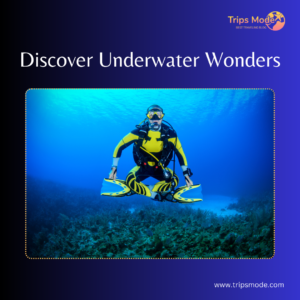 underwater photos