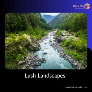 Lush Landscapes Photos
