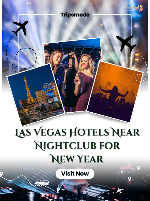 Top 10 Cities with Amazing Nightlife in the US (12)