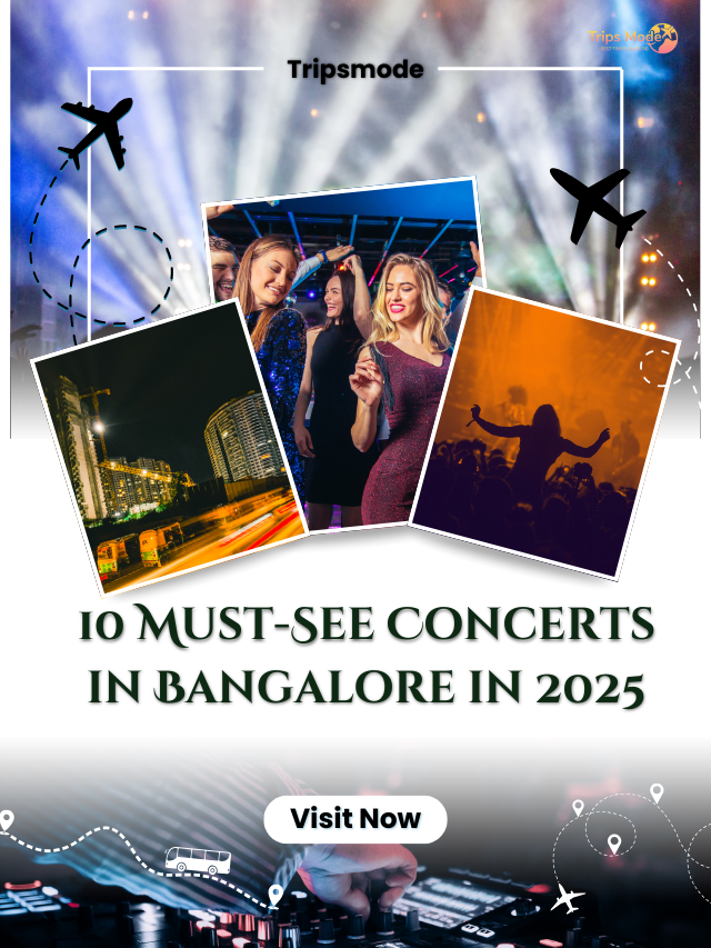 Top 10 Cities with Amazing Nightlife in the US (14)