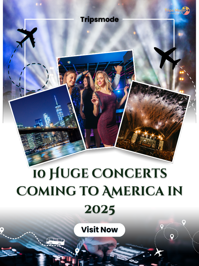 Top 10 Cities with Amazing Nightlife in the US (4)