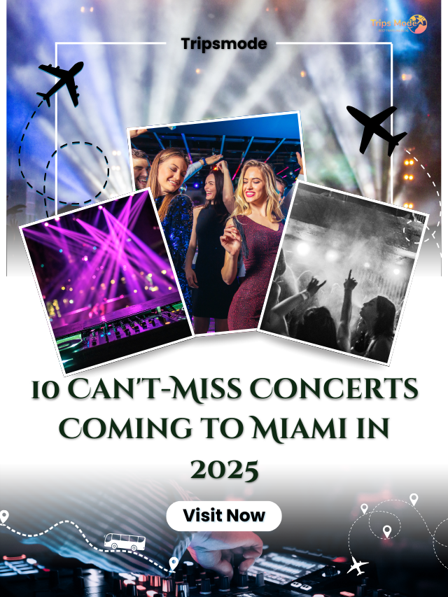 Top 10 Cities with Amazing Nightlife in the US (6)