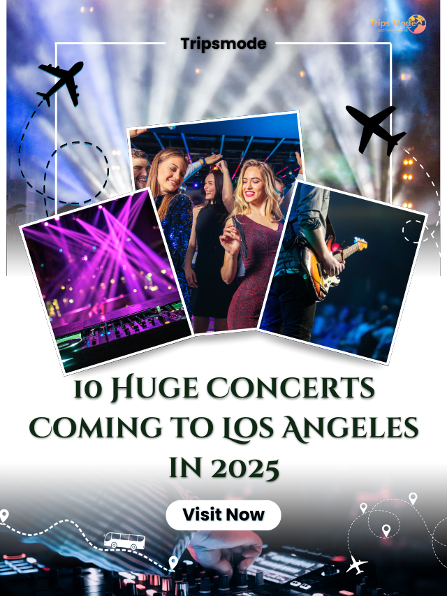 Top 10 Cities with Amazing Nightlife in the US (7)