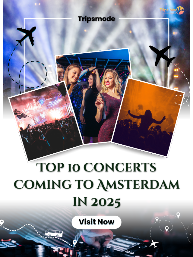 Top 10 Cities with Amazing Nightlife in the US (8)