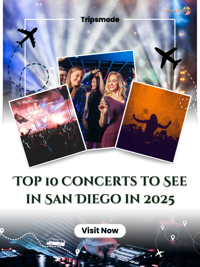 Top 10 Cities with Amazing Nightlife in the US (9)