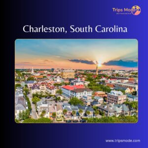 charleston white