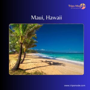 maui hawaii fire