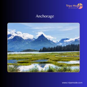 costco anchorage