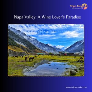 Napa Valley