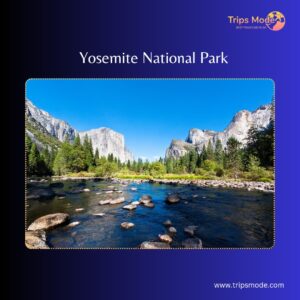Yosemite National Park