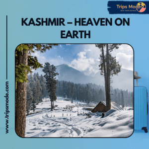 greater kashmir