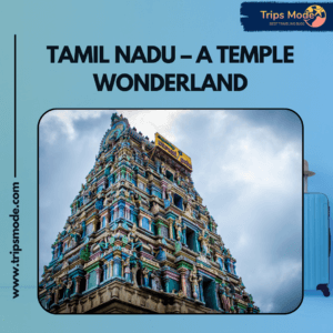 tamil nadu