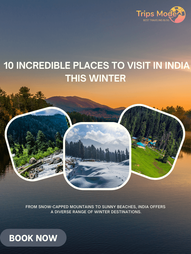 10 Incredible Places to Visit in India This Winter