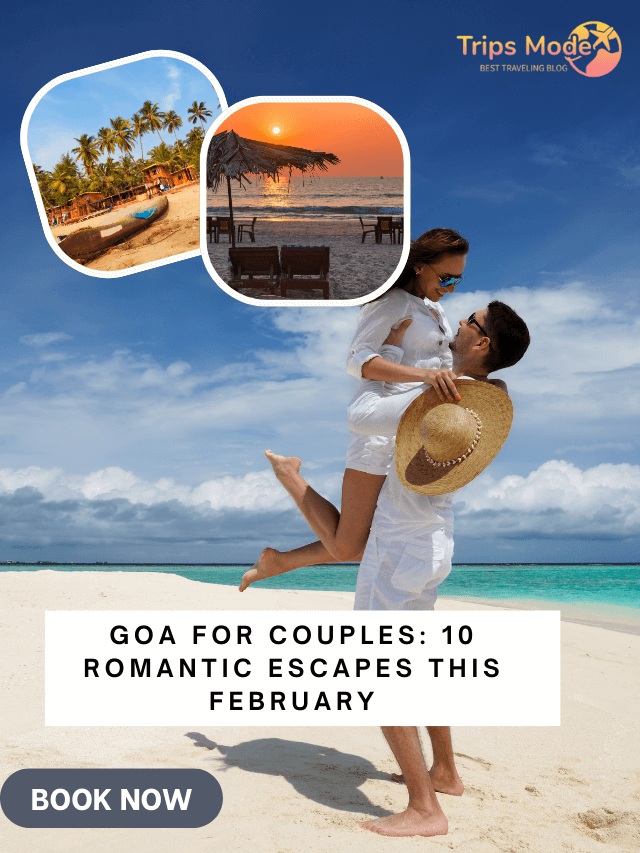 Goa for Couples: 10 Romantic Escapes This February