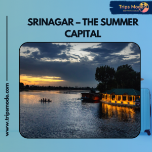srinagar temperature