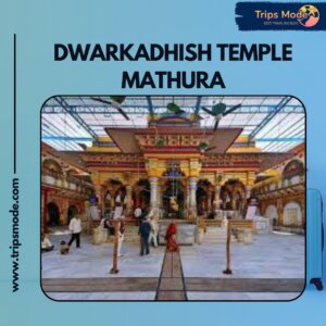 dwarkadhish temple mathura