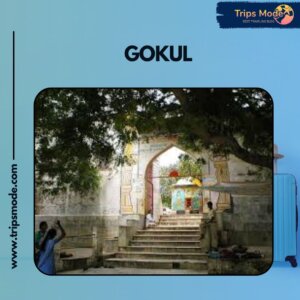 Gokul