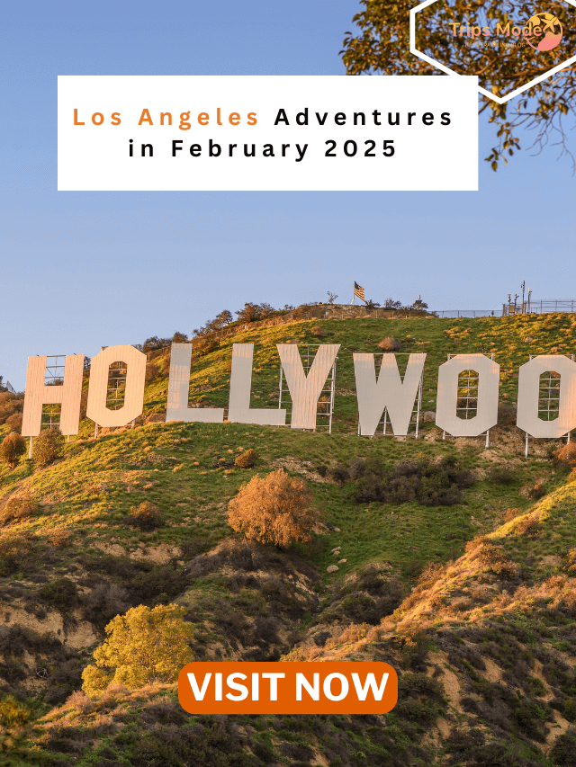 Los Angeles Adventures in February 2025